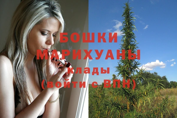 spice Медногорск