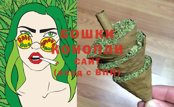 ПСИЛОЦИБИНОВЫЕ ГРИБЫ Магас