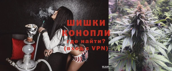 ГАЛЛЮЦИНОГЕННЫЕ ГРИБЫ Семилуки