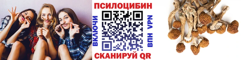 купить наркотики сайты  Фокино  Галлюциногенные грибы мухоморы 
