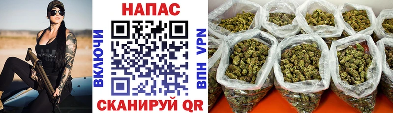 Бошки марихуана LSD WEED  Фокино 